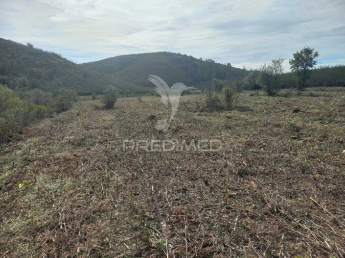 Terreno para Arrendamento em Portimão Foto 2