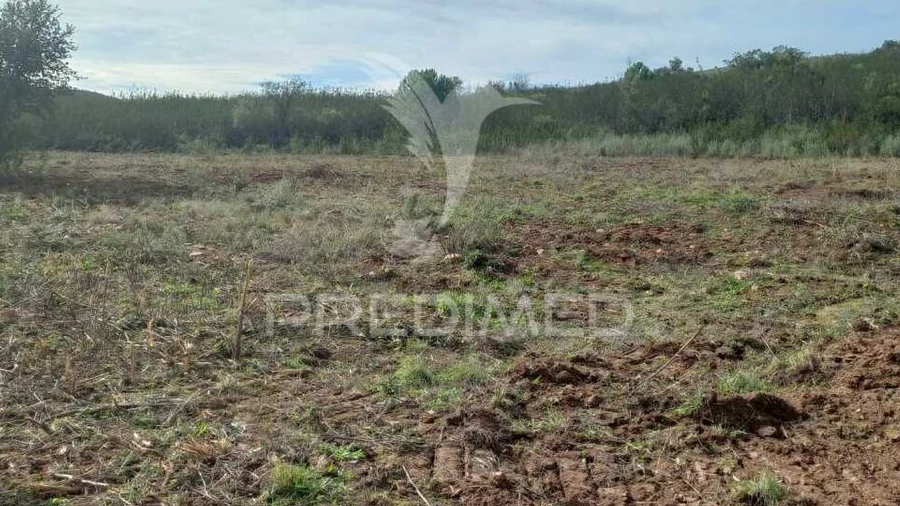 Terreno para Arrendamento em Portimão