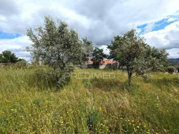Terreno para Venda em Fragosela