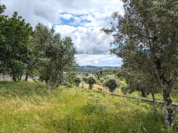 Terreno para Venda em Fragosela