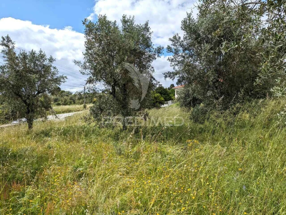 Terreno para Venda em Fragosela Foto 3