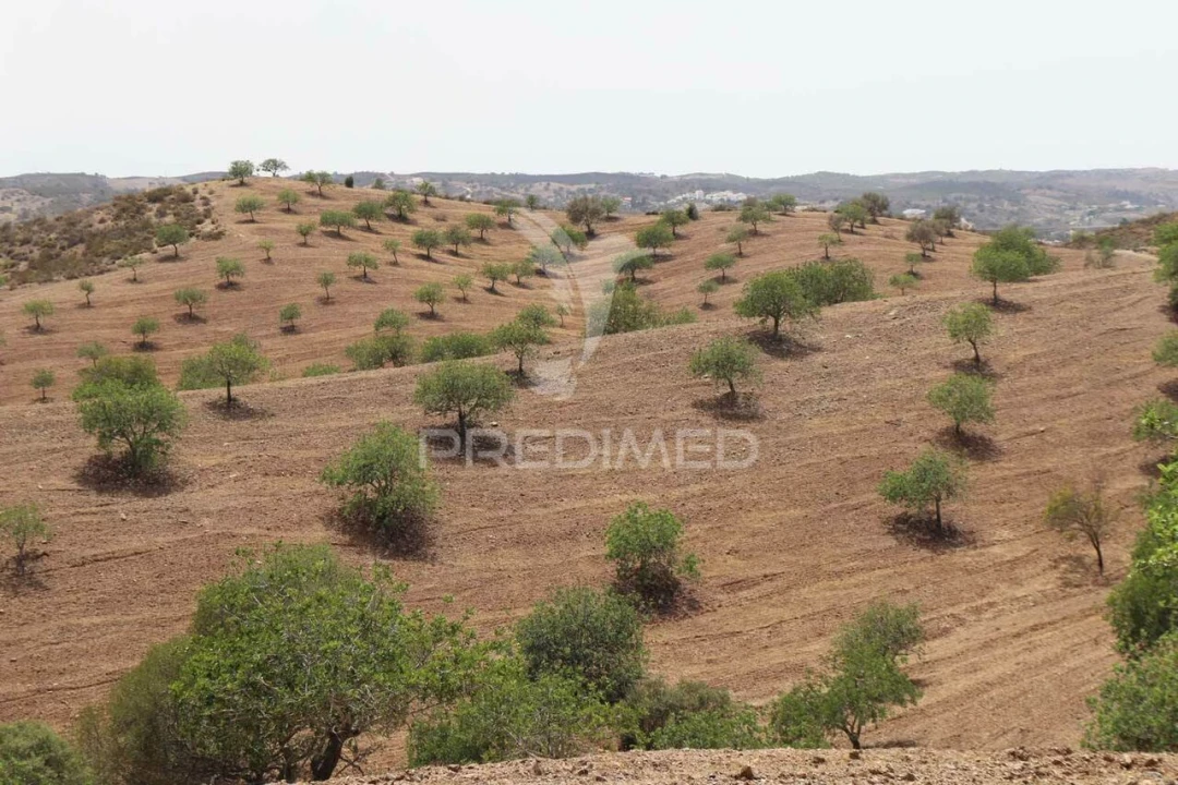 Terreno para Venda em Castro Marim Foto 28