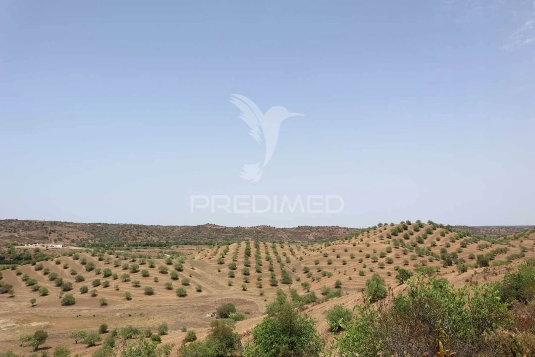 Terreno para Venda em Castro Marim Foto 21