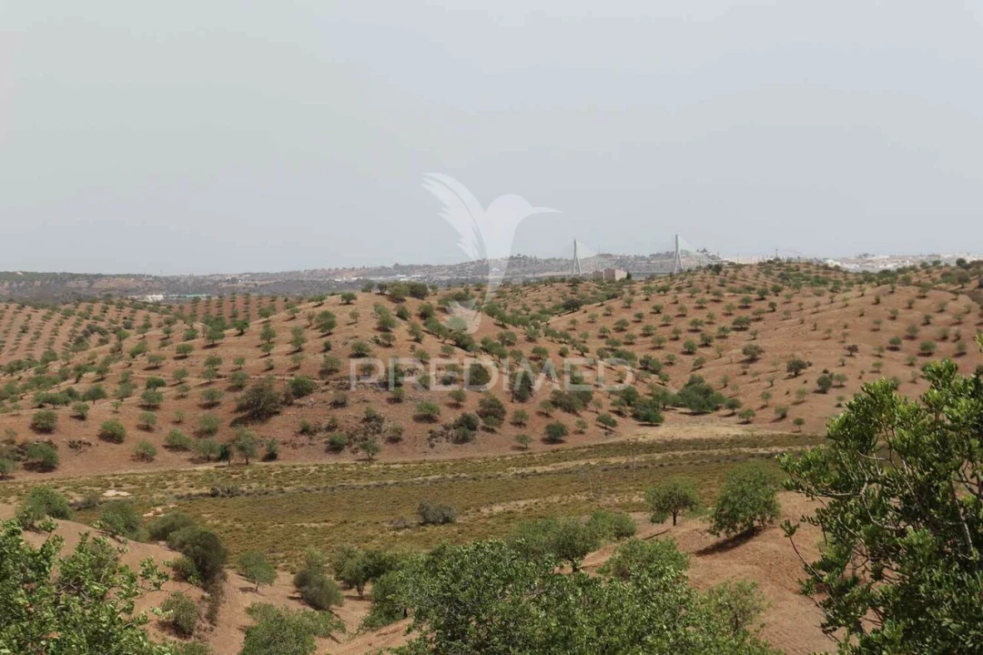 Terreno para Venda em Castro Marim Foto 27