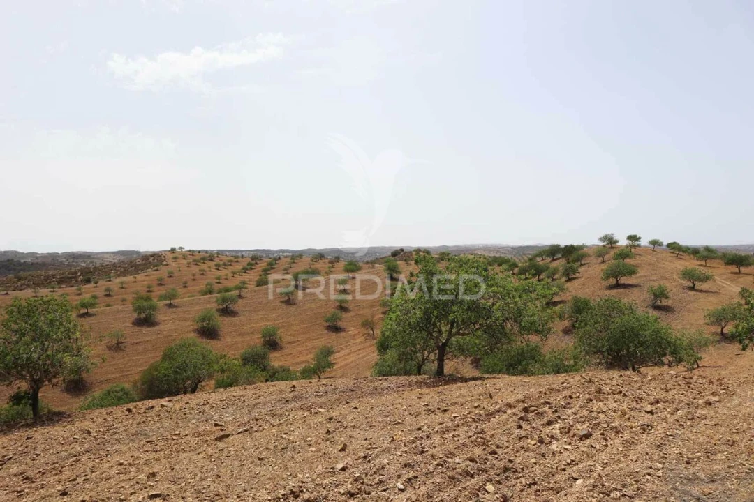 Terreno para Venda em Castro Marim Foto 29