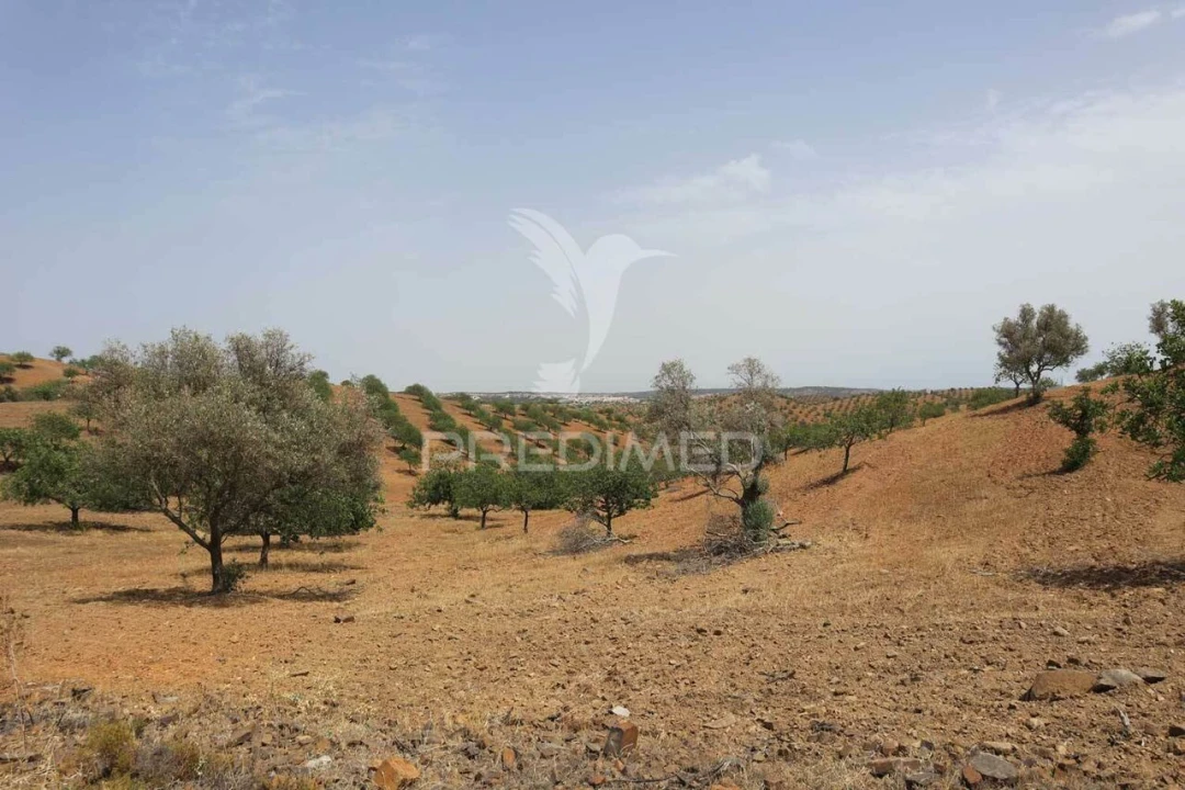 Terreno para Venda em Castro Marim Foto 24