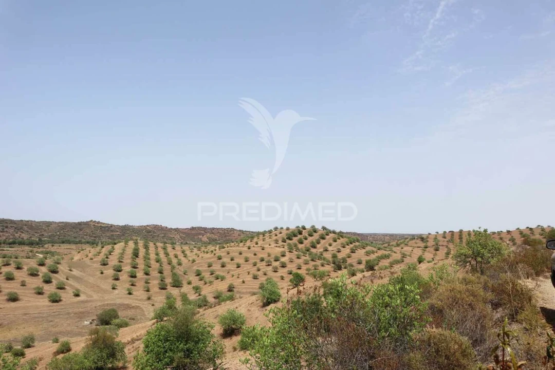Terreno para Venda em Castro Marim Foto 20