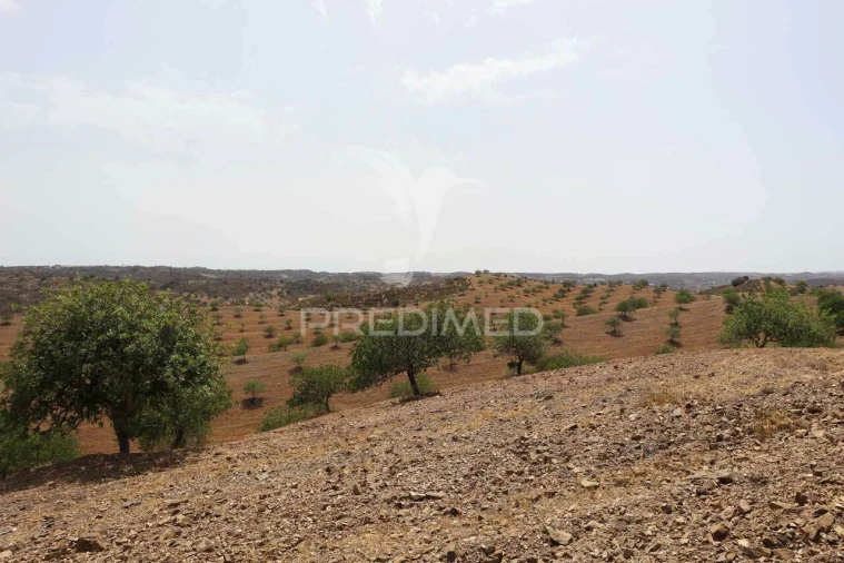 Terreno para Venda em Castro Marim Foto 26