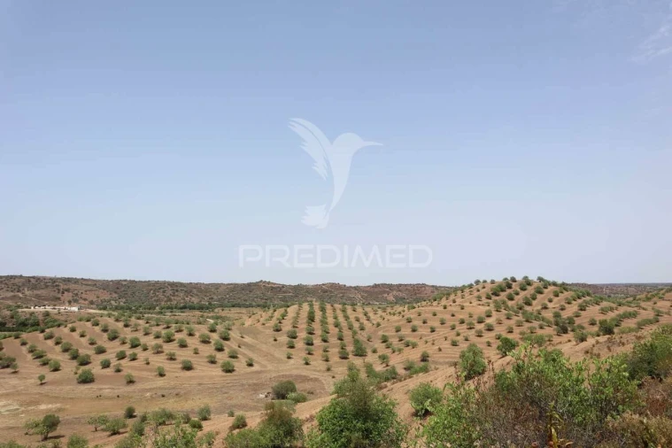 Terreno para Venda em Castro Marim Foto 21