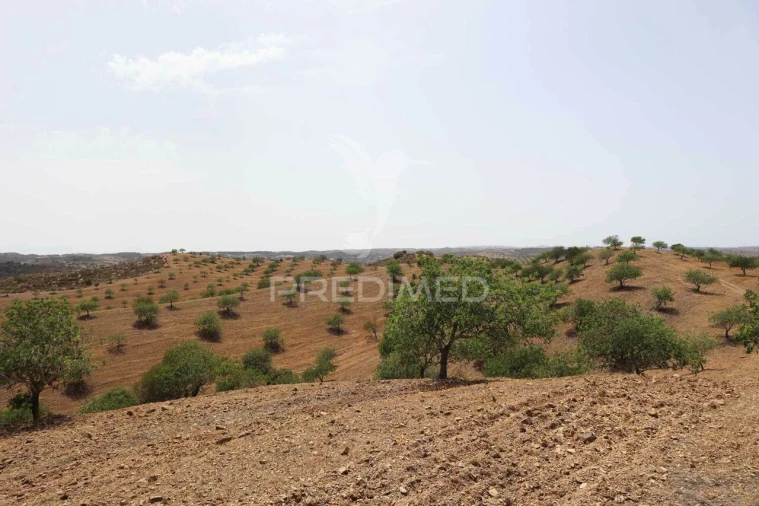Terreno para Venda em Castro Marim Foto 29