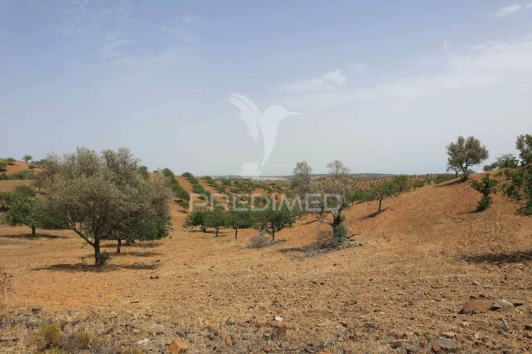 Terreno para Venda em Castro Marim Foto 24