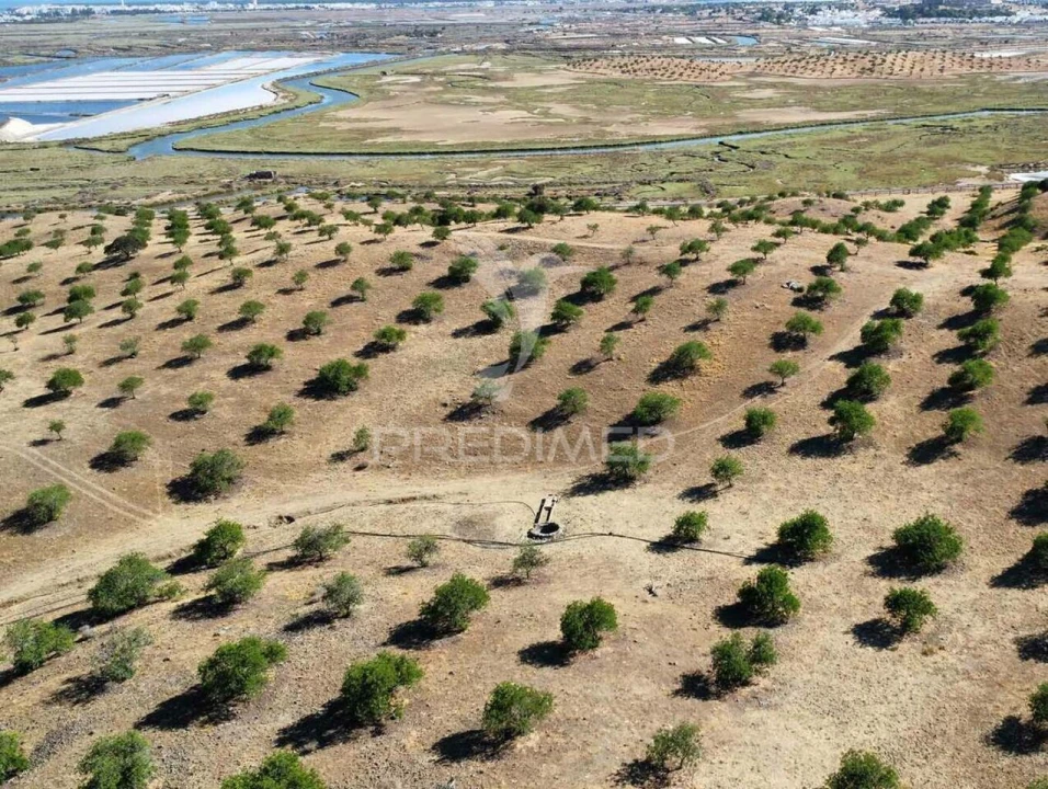 Quinta T0 para Venda em Castro Marim Foto 25
