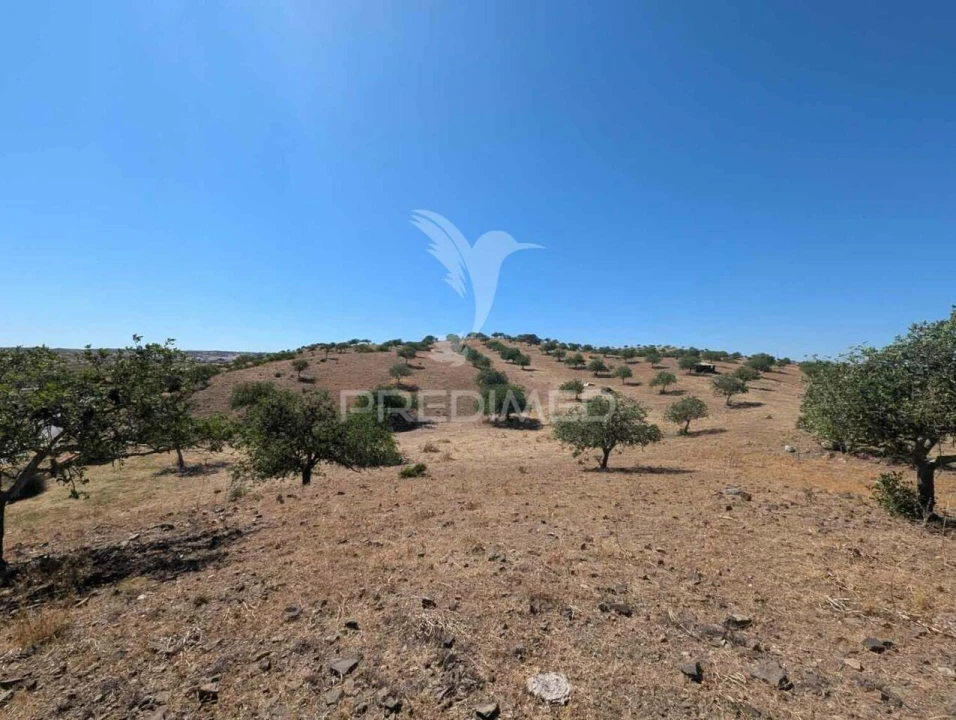 Quinta T0 para Venda em Castro Marim Foto 24