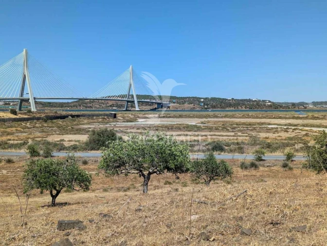 Quinta T0 para Venda em Castro Marim Foto 23