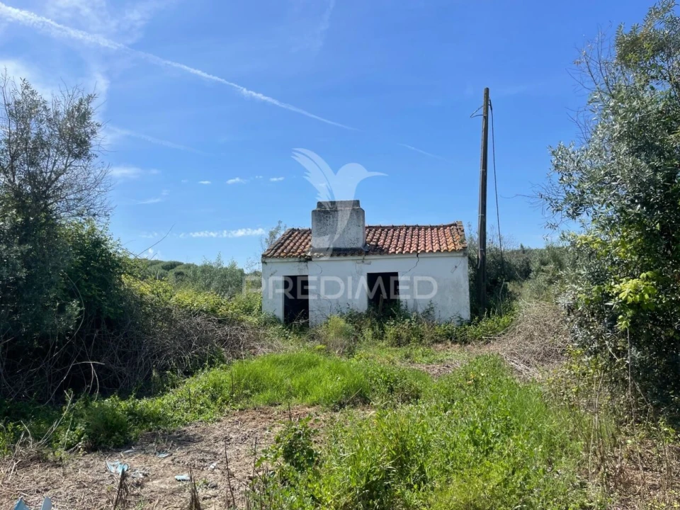 Terreno para Venda em Avis Foto 10