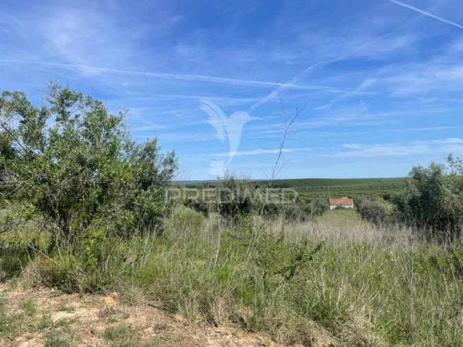 Terreno para Venda em Avis Foto 13