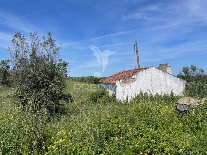 Terreno para Venda em Avis Foto 12