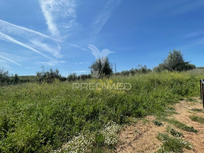 Terreno para Venda em Avis Foto 8