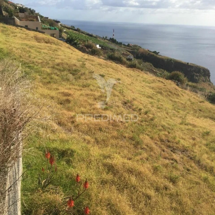 Terreno para Venda em Prazeres Foto 7