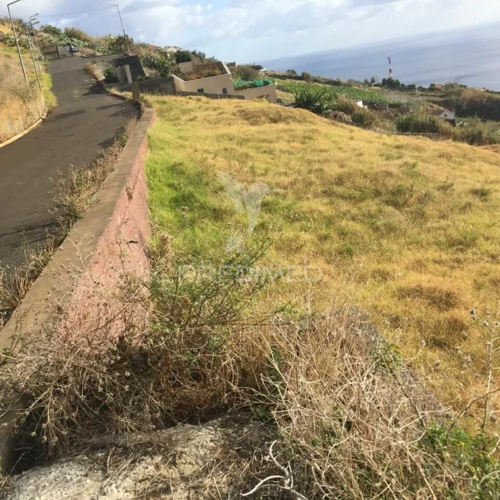 Terreno para Venda em Prazeres Foto 6