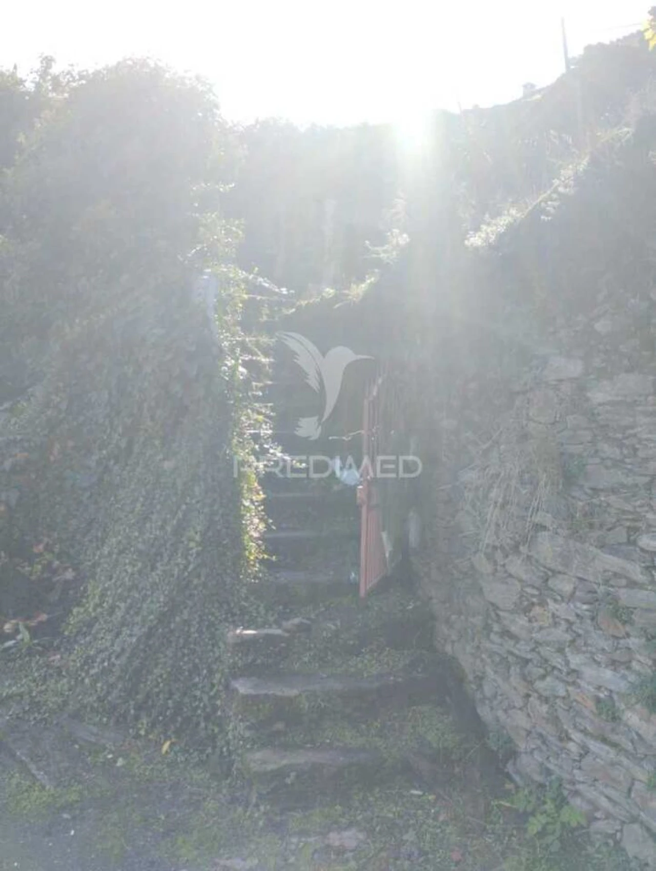 Moradia T3 para Venda em Sever Foto 3