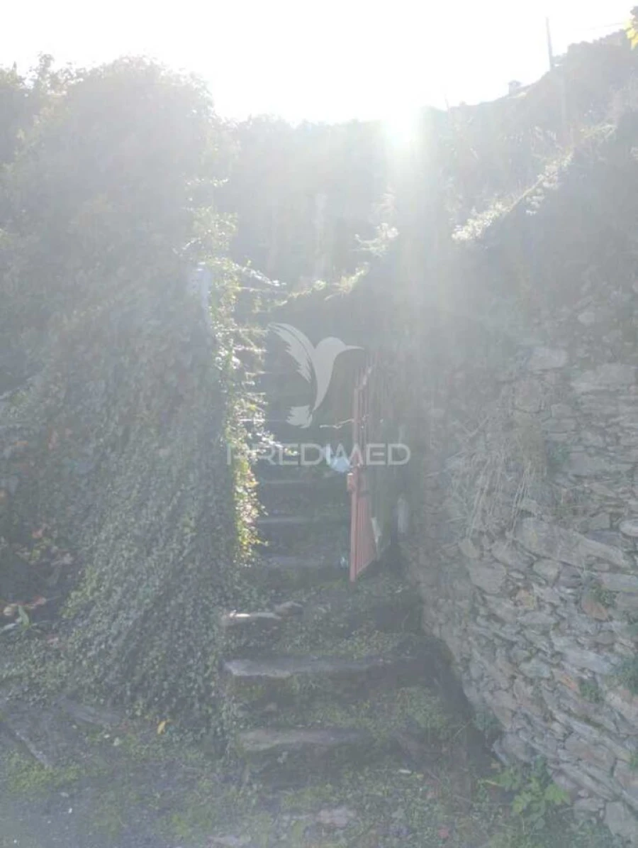 Moradia T3 para Venda em Sever Foto 3