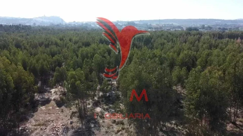 Terreno para Venda em Palmela