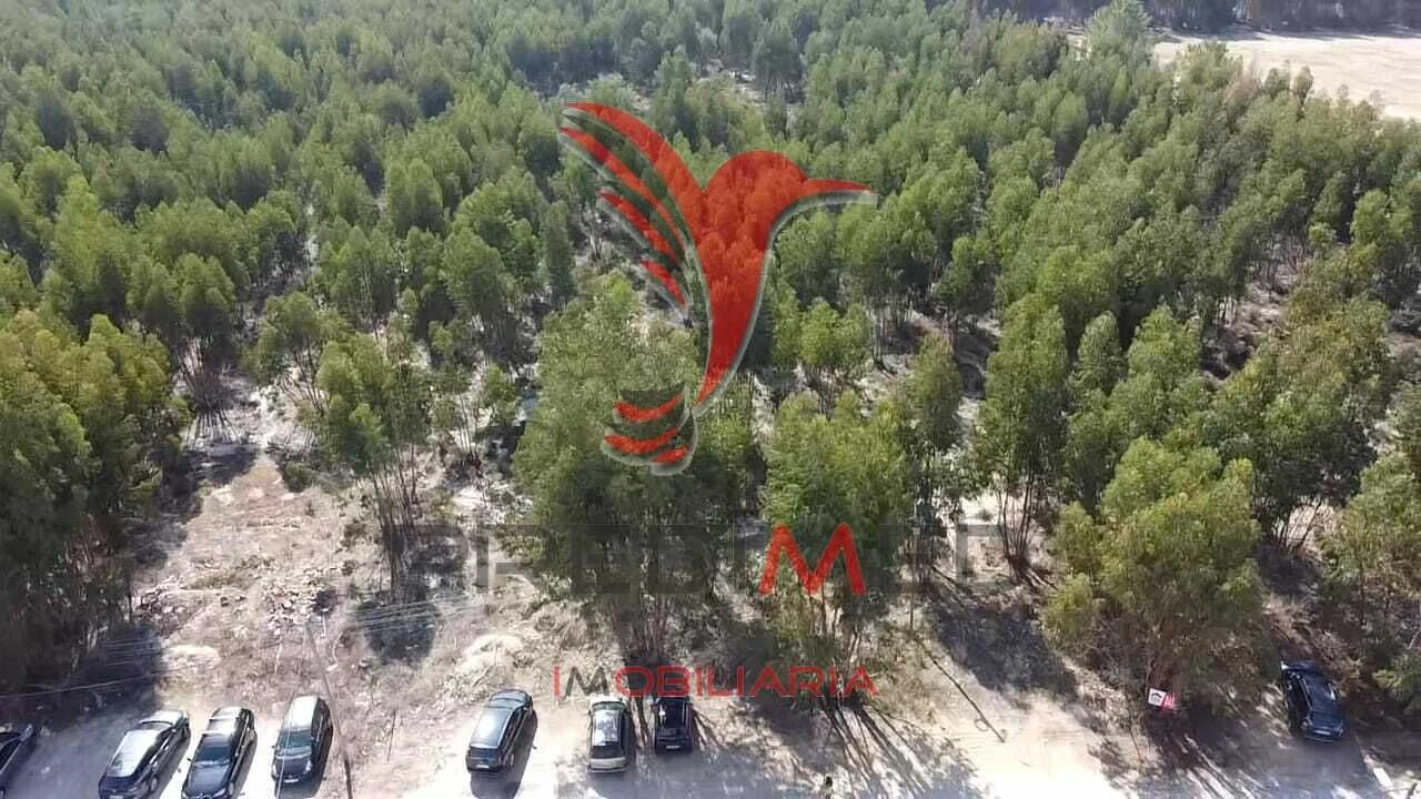 Terreno para Venda em Palmela Foto 23