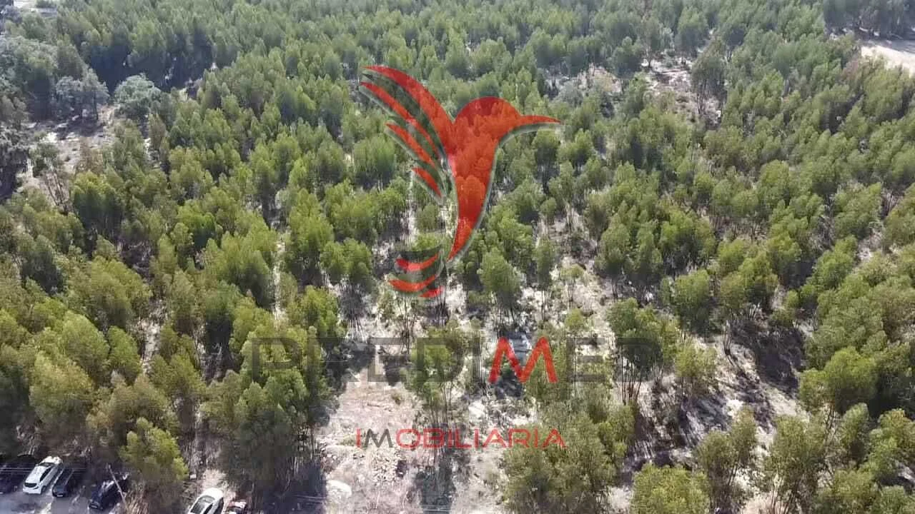 Terreno para Venda em Palmela Foto 4