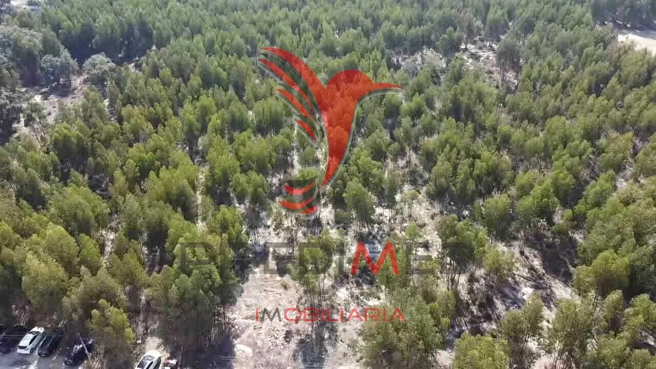 Terreno para Venda em Palmela Foto 5