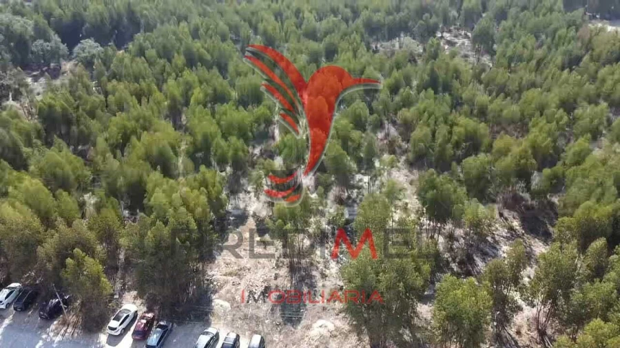 Terreno para Venda em Palmela Foto 7