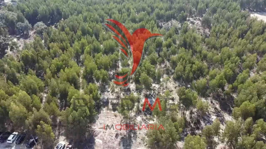 Terreno para Venda em Palmela Foto 5
