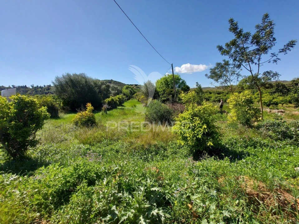 Terreno para Venda em Silves Foto 8