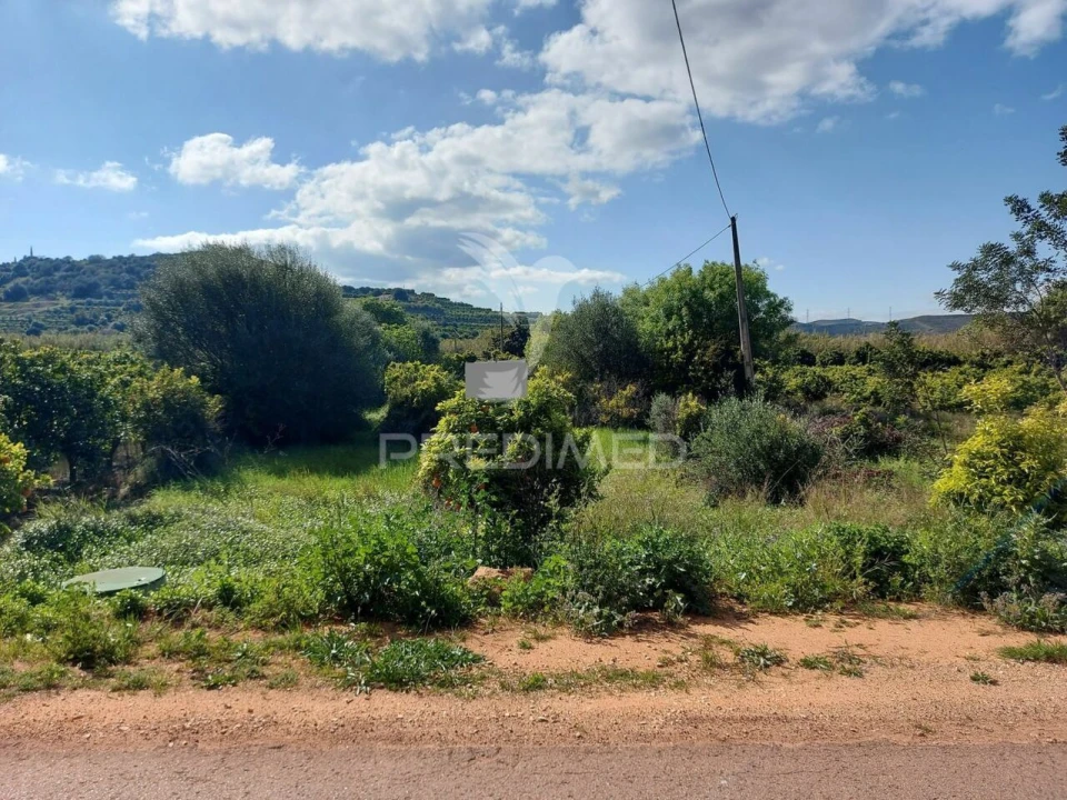 Terreno para Venda em Silves Foto 1
