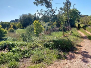 Terreno para Venda em Silves
