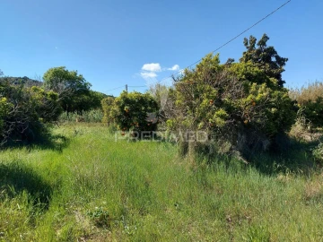 Terreno para Venda em Silves