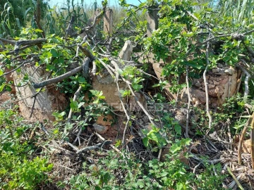 Terreno para Venda em Silves