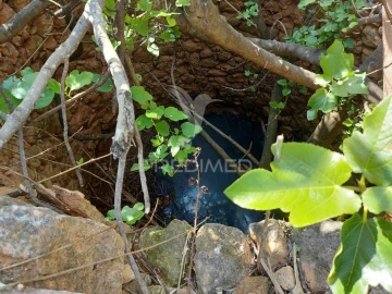 Terreno para Venda em Silves