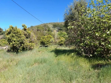 Terreno para Venda em Silves