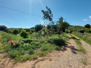 Terreno para Venda em Silves