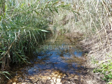 Terreno para Venda em Silves