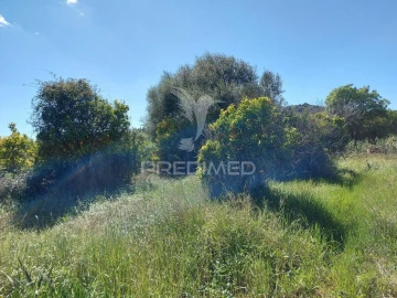 Terreno para Venda em Silves