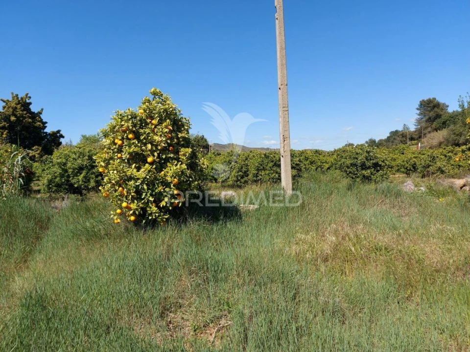Terreno para Venda em Silves Foto 12