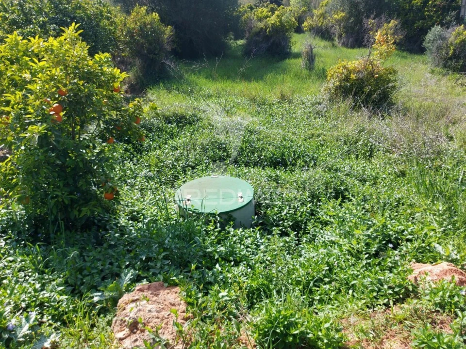 Terreno para Venda em Silves Foto 7