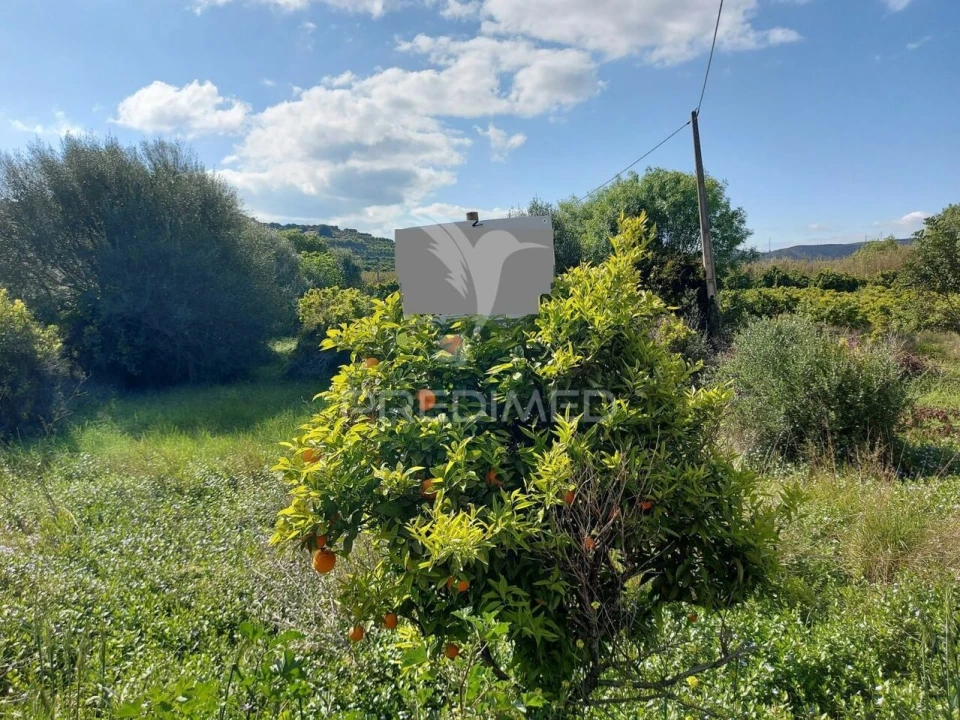 Terreno para Venda em Silves Foto 2