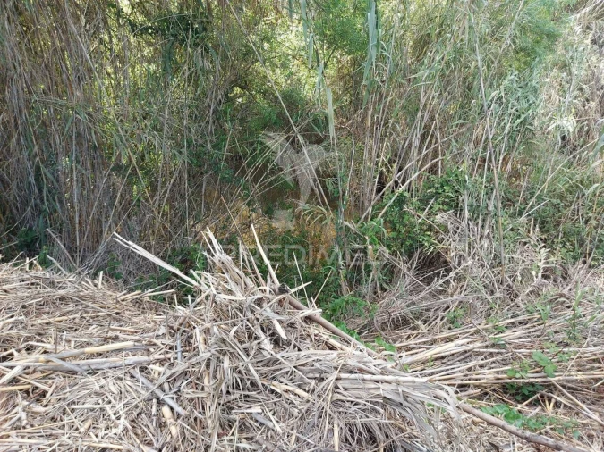 Terreno para Venda em Silves Foto 6