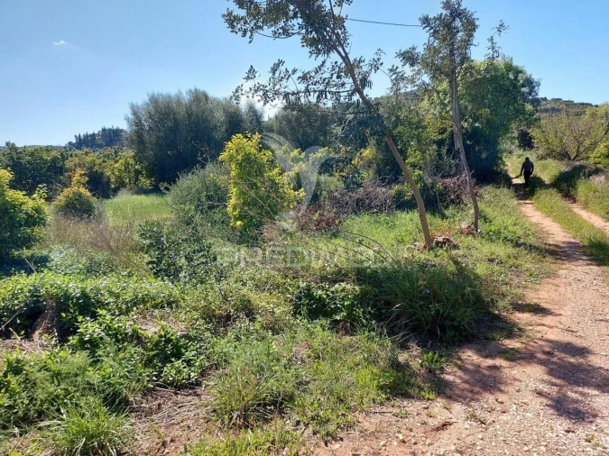 Terreno para Venda em Silves Foto 10