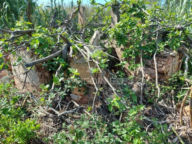Terreno para Venda em Silves Foto 4
