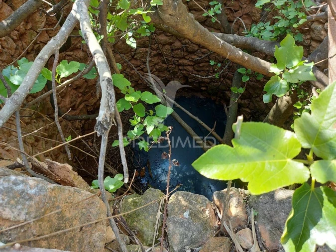 Terreno para Venda em Silves Foto 5