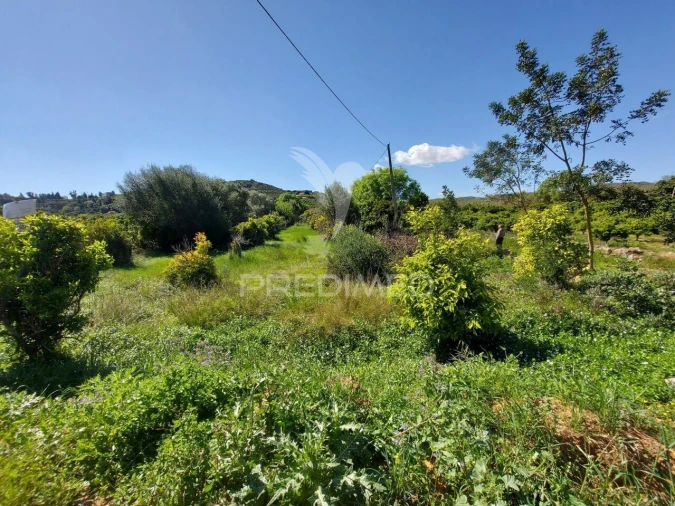 Terreno para Venda em Silves Foto 8